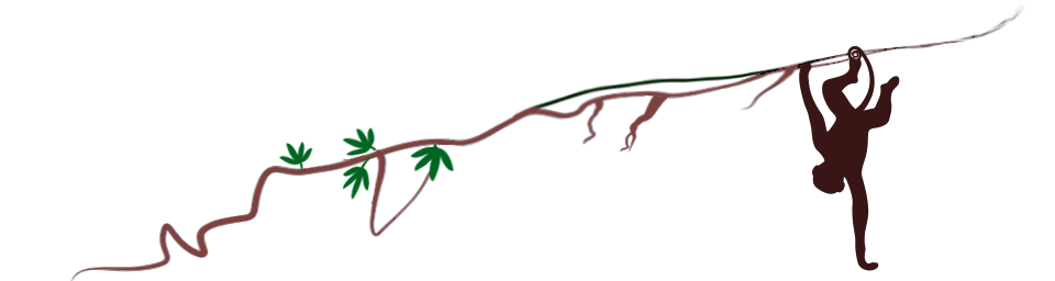Vine Image